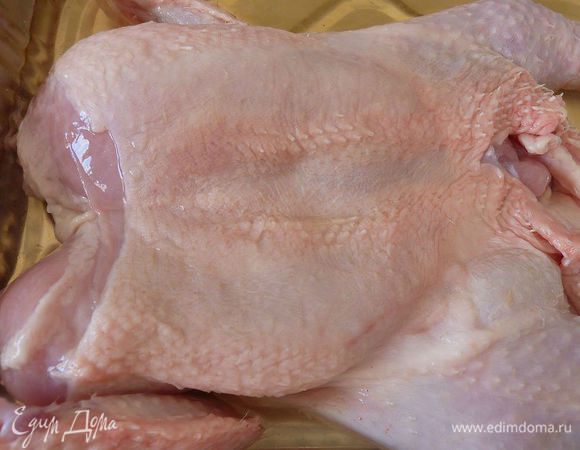 Замариновать курицу на ночь в  сидре.
