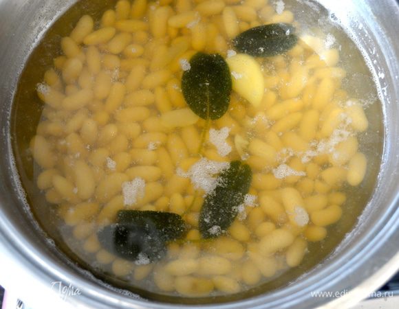 Фасоль на ночь замочить в холодной воде (или просто минимум на 6 ч). Затем поменять воду и отварить фасоль с зубчиком чеснока и несколькими листиками шалфея. Варить 30 минут. 