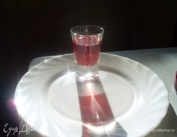 Теперь можно дегустировать. Очень удобно: при наливании ягодки остаются в бутылке.<br />
Рецепт настойки из винограда — что-то новенькое и интересное для любителей экспериментов. В домашних условиях напиток приготовить достаточно просто, а результат — потрясающий! 