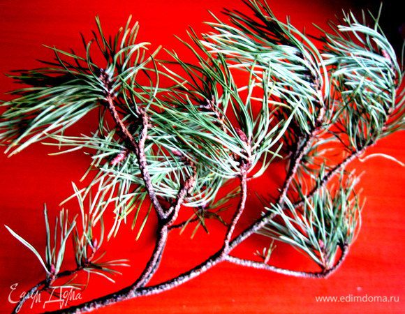 Сначала идём в парк и срываем сосновую ветку (или только иголочки!).