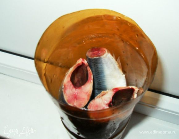 Рыбу сложить в бутылку, в шахматном порядке, залить рассолом, оставить на 1 сутки.

Рассол слить, рыбу переложить в пакет и поместить в холодильник на 2 часа. Рыба готова!

В двухлитровую бутылку идеально помещается 3 рыбины. Пропорции воды-соли-сахара рассчитаны именно на это количество.

После засолки рыбы, бутылку не выбрасывайте, пригодится не раз! 

Если приготовленную таким образом сельдь нарезать тонкими ломтиками и подморозить в морозилке получится вкуснейшая строганинка!

