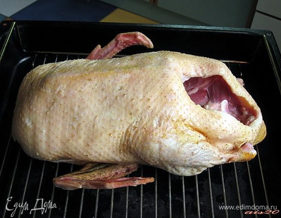 Итак, взять свежую потрошеную утку, тщательно вымыть, обсушить полотенцем и обрезать лишний жир с гузки и шеи. Выложить утку на решетку с поддоном.