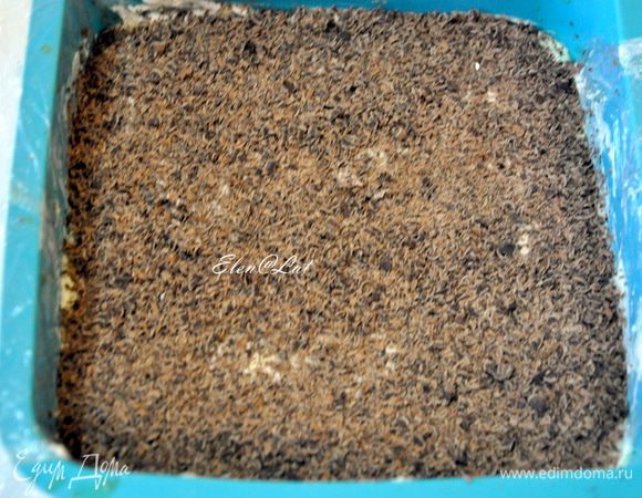 Затем густо присыпать тертым шоколадом. 