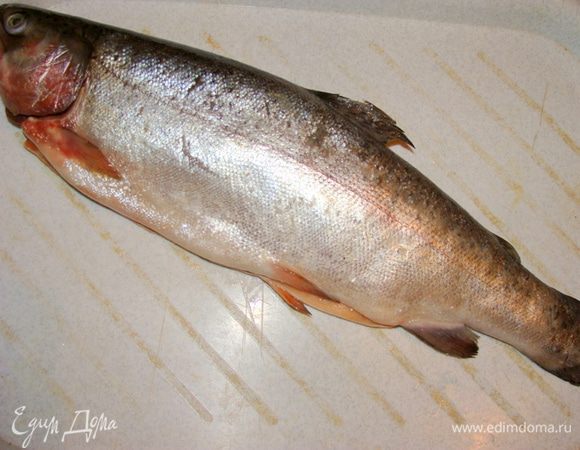 Форель не крупная (можно горбушу).