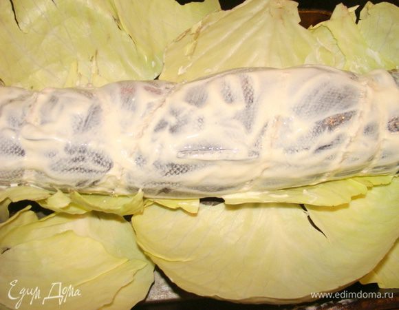 Обмазать сметаной. Выложить на противень на капустные листья.