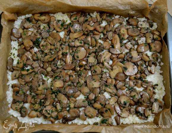 Сверху выложить всю грибную начинку. Разровнять.  