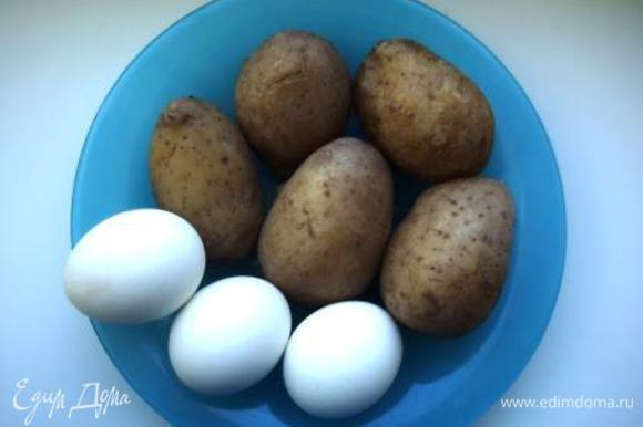 Отварить картофель и яйца. Нарезать средними кубиками.