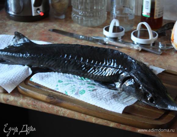 Для начала подготовим рыбу. Выпотрошим ее аккуратно, главное не повредить желчный пузырь. И будьте аккуратно с шипами на хребте, можно пораниться. Хорошенько промоем под холодной водой, просушим.