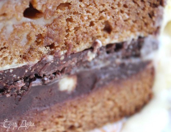 После в центр на пралине выложить темный мусс, который уже слегка застыл и не растекается, накрыть все вторым коржом и выложить оставшийся мусс по краям, 