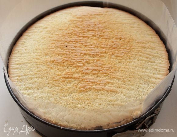 На желе ставим второй бисквитный корж слегка прижимаем. 