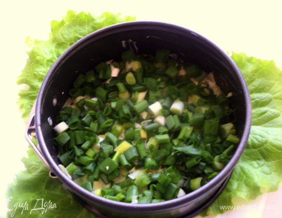 2 слой – зеленый лук. Каждый слой смазываем майонезом.