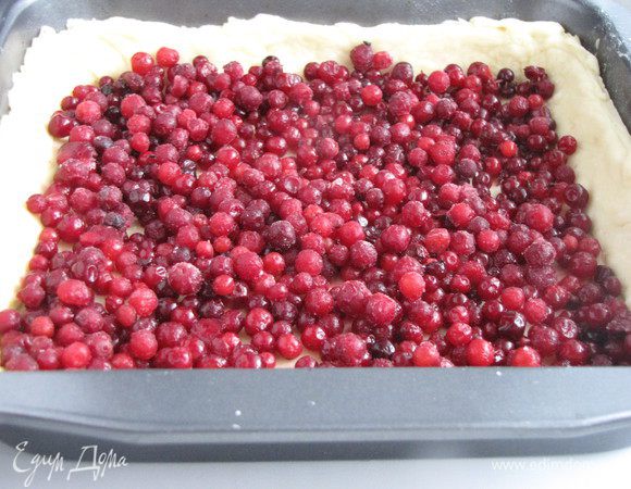 Выложить тесто на противень или в форму, смазанную сливочным маслом, формируя бортики. Выбирать такую форму, чтобы тесто не было слишком толстым. Насыпать сверху бруснику и разровнять. Оставить минут на 20.