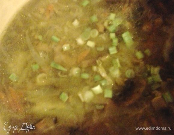 За пару минут до готовности солим, перчим, добавляем 2 листика лаврового листа и любую зелень. У меня был замороженный укроп и зеленый лук. Приглашаем всех за стол!!!!