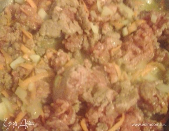 Лук нарезаем кубиком, морковь трем на крупной терке. Обжариваем на растительном масле овощи и фарш (у меня был свино-говяжий).