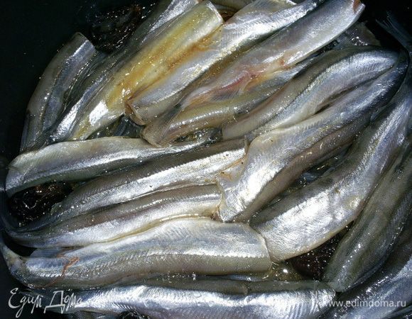 Чай процеживаем, добавляем в заварку соль и перемешиваем до полного ее растворения. Заливаем рыбу получившимся рассолом и добавляем подсолнечное масло. Рыба должна быть лишь слегка прикрыта рассолом. 

Включаем мультиварку в том режиме, который у вас позволяет быстро довести до кипения содержимое кастрюльки. У меня это "Пароварка". Когда рыбка хорошо расскрипелась, переключаем на режим "Тушение" и готовим еще 1 час. По окончанию этого времени дать мойве полностью остыть в кастрюльке, а затем аккуратно переложить в емкость для хранения и залить жидкостью, в которой готовились наши шпроты.