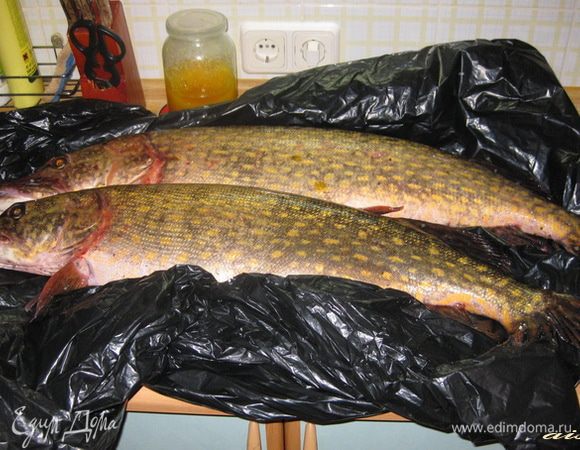 Щуку очистить от чешуи, отрезать голову и, не разрезая брюхо, вынуть кишки.
Тщательно вымыть щуку под проточной водой.
Аккуратно, подрезая ножом, снять шкуру со щуки "чулком", возле хвоста разрезать хребет.
Отделить мясо щуки от костей.