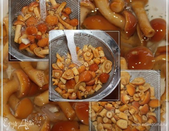 Так как по «закону жанра» в солянку лучше грибочков положить разных сортов, то прикупил я баночку опят … маринованных. 
Вынул я их из банки, перебрал. Убрал всякие оттуда луковые и прочие детали. Очень хорошо промыл. Порезал. Снова промыл. Даже замочил на часок в водичке подсоленной.
И … все равно выбросил!!!..., чтобы суп не портить. Лишний раз убедился – если грибы импортные, лучше в их сторону не смотреть. КАК такое можно есть? Бедные толерантные европейцы.
