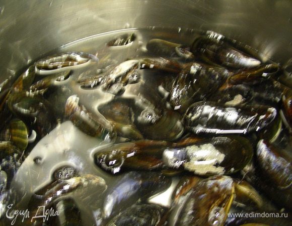 Мидии хорошо промываем. Кладем их в большую кастрюлю, заливаем холодной водой, чтобы они были покрыты. Доводим до кипения и варим минуты 3, пока не откроются ракушки.
