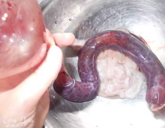 Наполняем кишки начинкой. Для этого, один конец завязываем на тугой узел или перевязываем ниткой, второй надеваем на горлышко бутылки и с помощью кружки, наполняем кишки. Только не нужно наполнять туго, чтобы в каждом колечке колбасы, было по два сантиметра пустоты. В конце также завязываем.