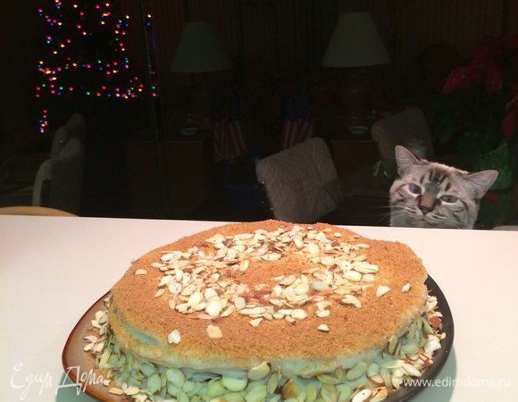 K ней просоединился мой кот! Пока я суетилась и плиты, он мирно сопел на мягком стульчике, а тут значит высунул свою сонную мордочку и улыбнулcя.