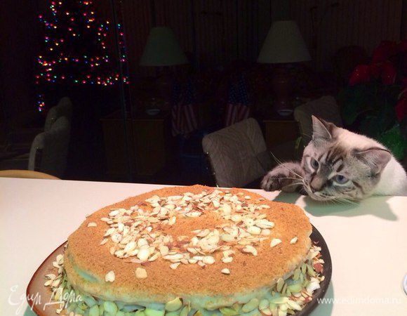 И, не стесняясь, лапкой потянулся.