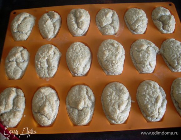 Выпекаю бисквитные печенья на основе овсяных отрубей. Разогреть духовку до 180-200 градусов.
2 яйца отделяю белки от желтков, к желткам добавляю еще 1 яйцо. 8 таблеток заменителя сахара измельчаю в мелкую пудру. Добавляю к желткам, взбиваю. Блендером или кофемолкой молю в пудру овсяные отруби. Добавляю отруби и муку к желтковой смеси и перемешиваю ложкой. Взбиваю белки до твердых пиков и осторожно перемешивая добавляю их в тесто. Выкладываю тесто на формочки для мадлен и выпекаю 10-15 минут до золотистого цвета.