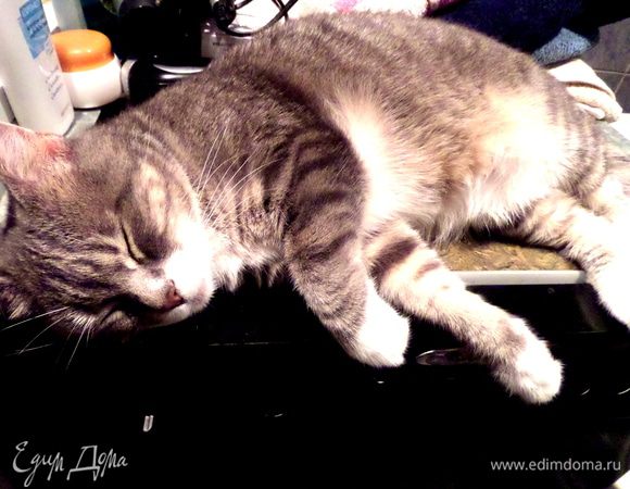 Дуся отсыпается сегодня в ванной комнате после всех ночных фейерверков)))