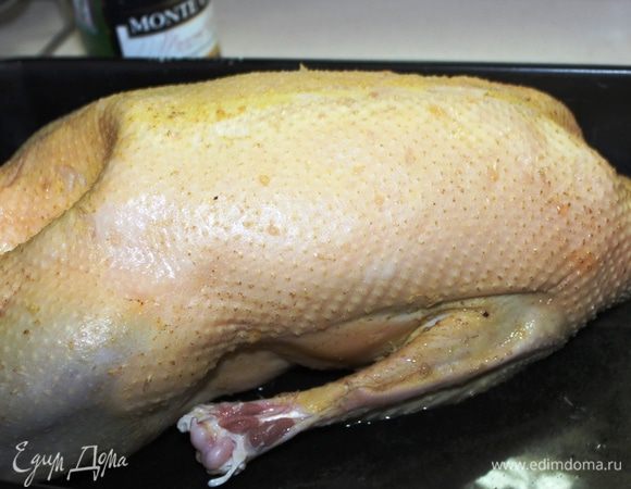 Уложить гуся в глубокую форму, сделать ему инъекции маринада поглубже в мясо в разных местах (при этом необходимо немного массировать мышцы, чтобы маринад не выливался обратно, а проникал вовнутрь). Залить в форму вино