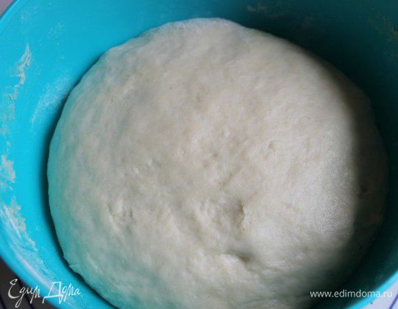 Замесим тесто, как обычно, безопарным способом, если будет мало муки, то добавьте еще. Дрожжи я брала сухие. Поставим в теплое место на часок примерно.