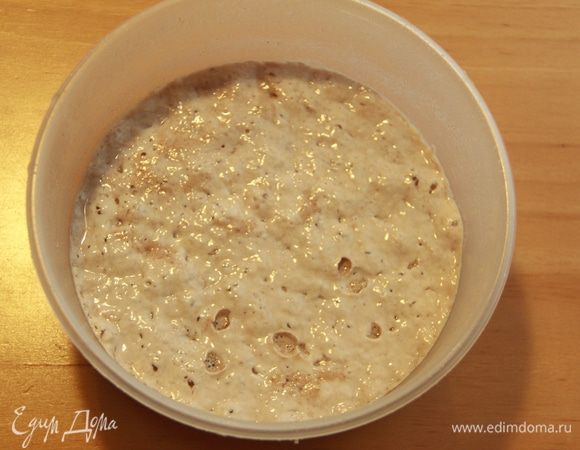 Уже через сутки мои дрожжи имели вот такой вид!