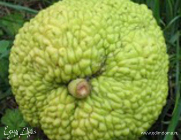 А это тот самый плод Хлебного дерева....для сравнения! )))))