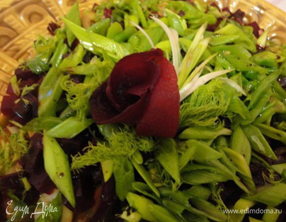 Сверху выложить свеклу, посыпать зеленью и полить оливковым маслом, смешанным с лимонным соком или бальзамическим уксусом. У меня оливковое масло настояно на базилике. Но можно и свежий базилик использовать в салате.