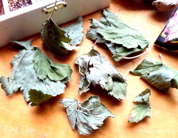 Летом я обдираю смородиновые кусты и высушиваю целиком листья смородины.