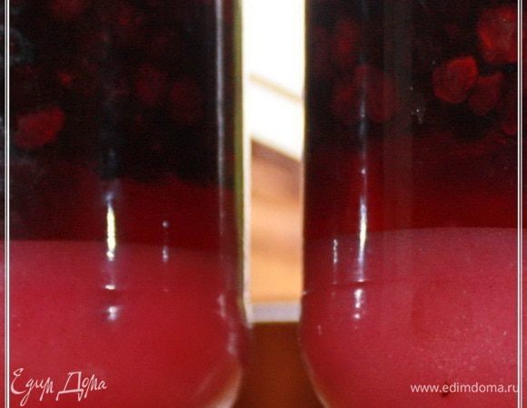 Прошло две недели. И хотя банки я постоянно перетряхивал, чтобы сахар не оседал, а растворялся, но, как уже было сказано, сахара было заложено «чересчур». Перед тем как сливать сироп, я долго банки тряс, но все же добился практически полного растворения этих излишков.