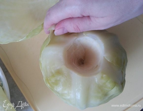 Разбираем листья начиная от кочерыжки (плохие верхние листья выбрасываем). Усилие направляем больше не в сторону от кочана, а вниз. Разбирается очень легко.