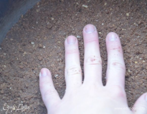 Перенести массу в разъемную форму 20 см и руками утрамбовать  форму.Убираем в морозилку, а пока займемся начинкой.