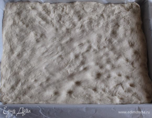 Противень смазать оливковым маслом, выложить тесто.