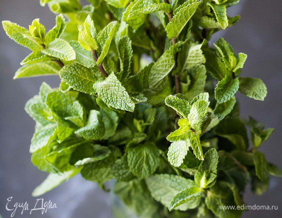 Первым делом необходимо приготовить мятный сироп. Для этого мяту моем, высушиваем и отделяем листочки. 