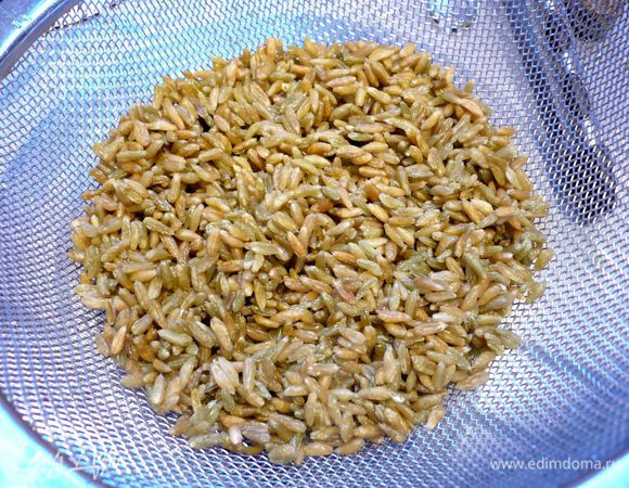 Вот так выглядит недозрелая полба. Промоем ее водой и зальем кипятком. 