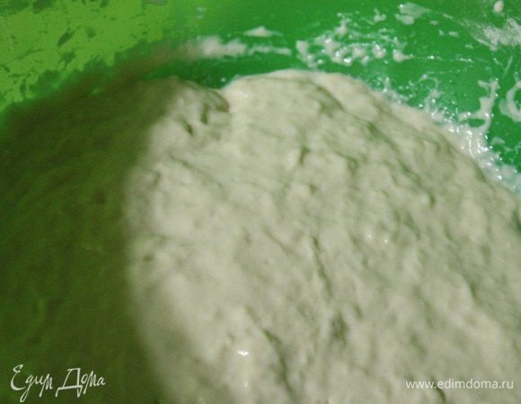 Развести дрожжи в теплой воде, добавить соль, сахар и муку.