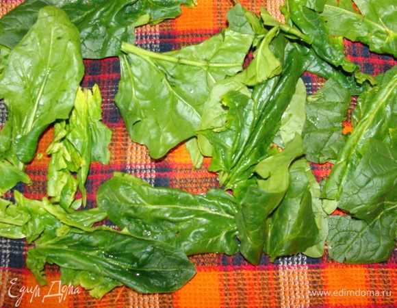 Шпинат помыть и обсушить. Желатин залить 150 мл воды. Когда разбухнет (15-20 мин), подогреть на медленном огне до полного растворения, не доводя до кипения. Остудить до комнатной температуры.