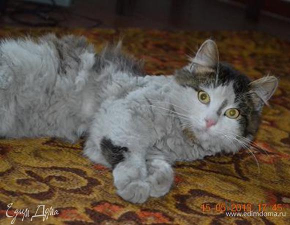 Вот оно! Мое чудище, наезженное... довольное :)))