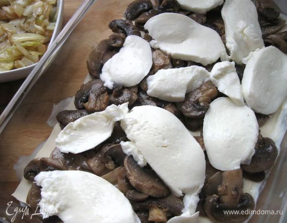  На них пластины моцареллы, немного тертого пармезана и соуса бешамель. Накрыть листами лазаньи. 