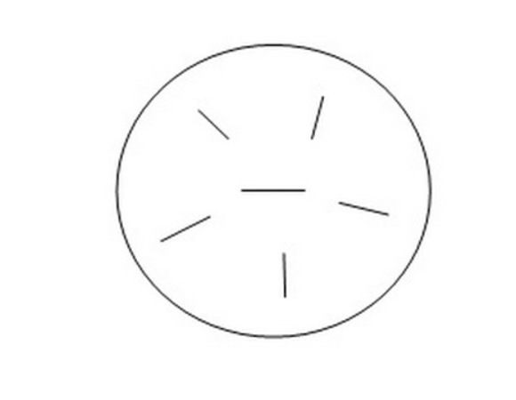 Второй вид печенья - ну не знаю, пусть это будут божьи коровки )))
Белое тесто раскатать в лепешку толщиной 3-5 мм, ножом сделать надрезы.
Простите пошаговые фото не сделала, поэтому схематический рисунок )
Из коричневого теста сделать небольшой шарик и положить его в центр белой лепешки. Обернуть белым тестом.
