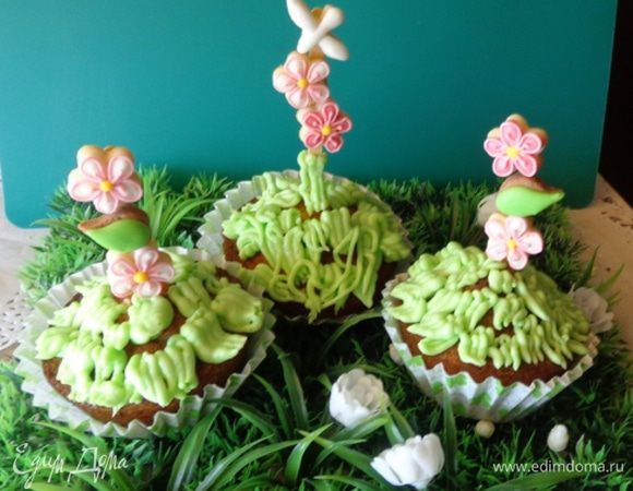 И радоваться жизни!