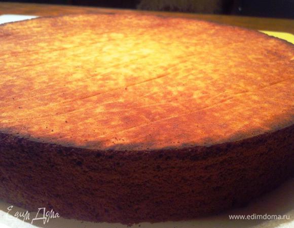 Выложить получившееся тесто в пекарское кольцо.
Испечь бисквит в течение 40 мин. 
Готовый бисквит оставить остужаться, перевернув его (у меня проблематичная духовка, даже очень, поэтому мой бисквит по краям "подзагорел").