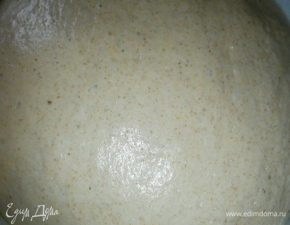 Подошедшее тесто выложить на стол, руками растянуть в пласт и сложить в несколько раз. Положить обратно в миску, накрыть плёнкой ( полотенцем) и дать подойти ещё 1 час.