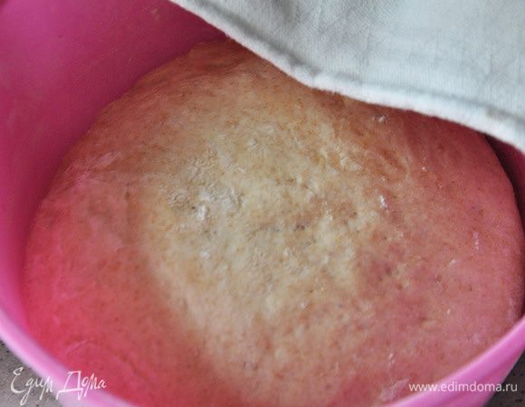 Когда тесто увеличится в размере (примерно через 1 час) - примять его и снова накрыть полотенцем еще на 1 час.