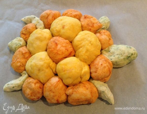 Сформировать черепаху.