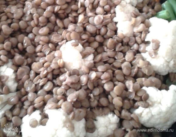 Выложить отварную чечевицу.